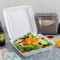 White Foam Hinged Containers