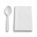 Generic representative image: White PP Teaspoon and Napkin Kits – 8 × 10 Napkin