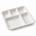 Generic representative image: White Bagasse 5-Compartment Square Trays