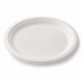 Generic representative image: White Bagasse Round Plates – 10 in