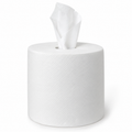 Generic representative image: White 2-Ply Center-Pull Towel Rolls – 24.5 × 20 cm Sheets