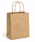 Generic representative image: Recycled Kraft Paper Unprinted Bags with Twisted Handles – 8 × 4 1/2 × 10 1/4 in