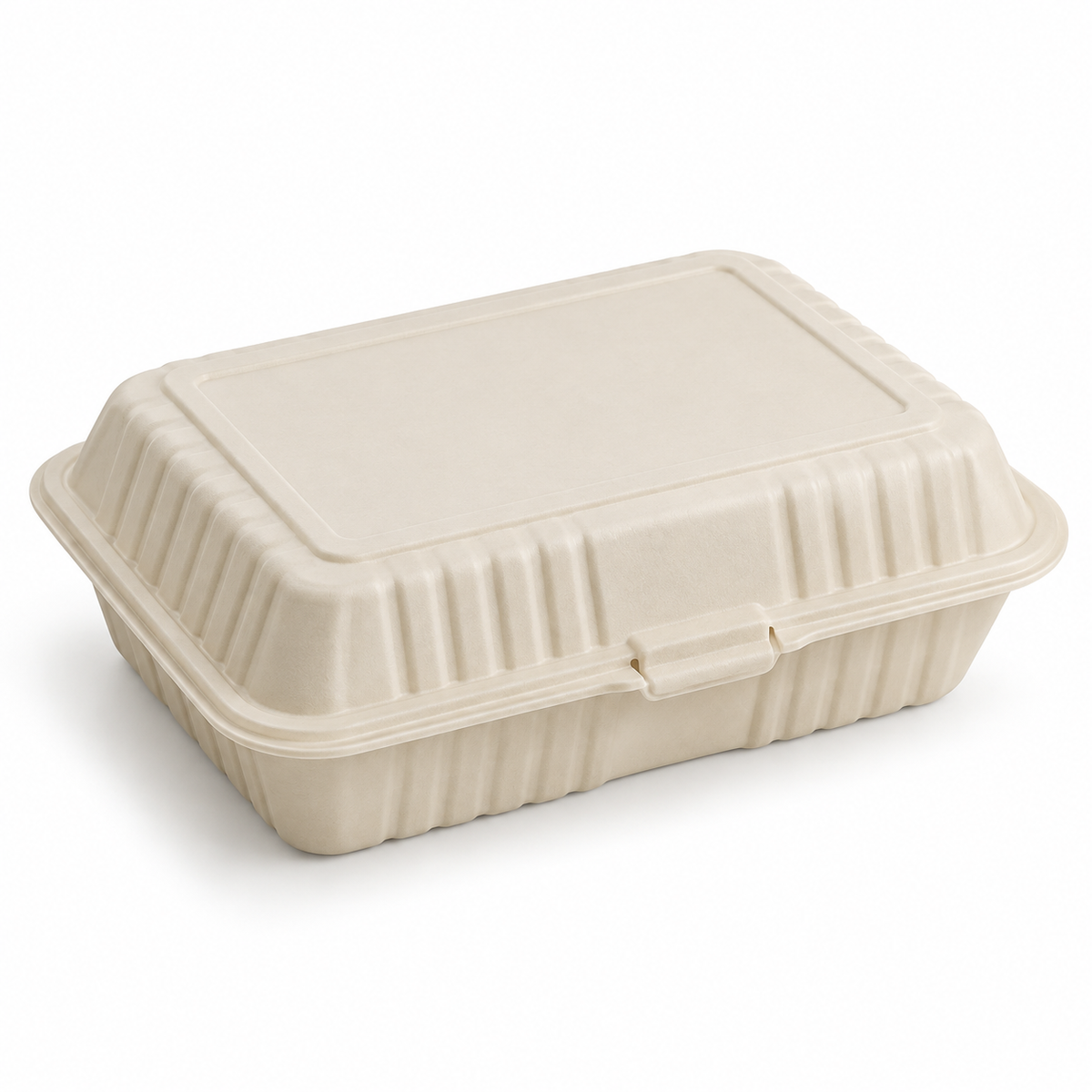 Natural MFPP Hinged Takeout Containers – 9 × 6 in — closed container, representative image